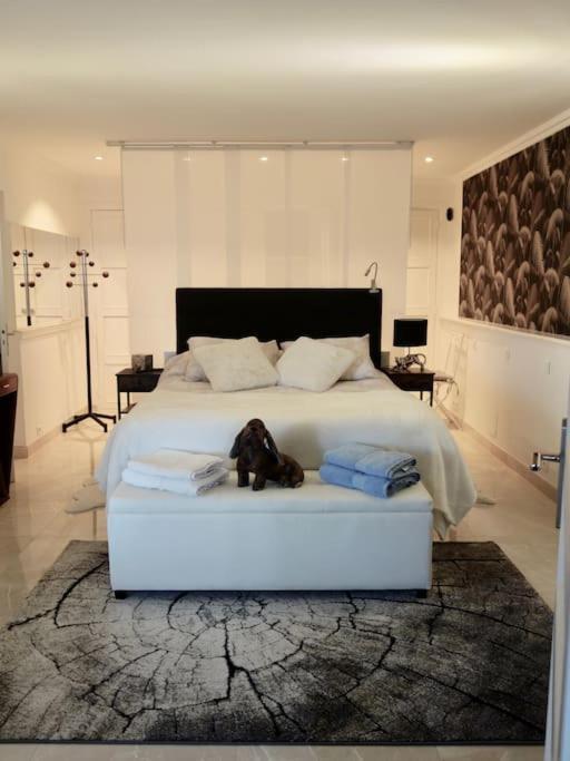 Elegant-Cosy 2P55M2 Dans Bas De Villa Provencale ! Villeneuve-Loubet Esterno foto